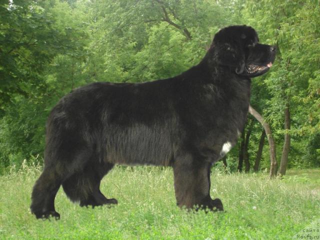 Фотография № 14638