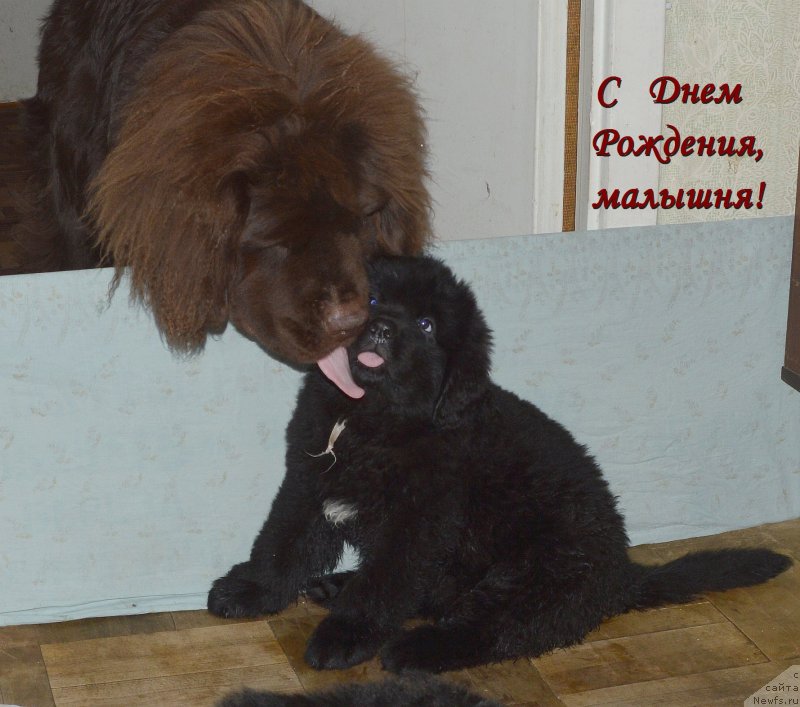 Фотография № 146470