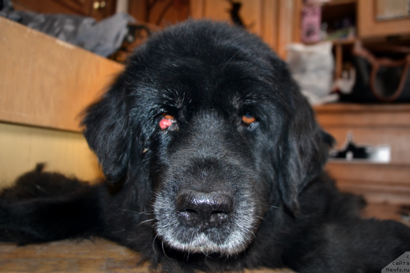 Фотография № 146476