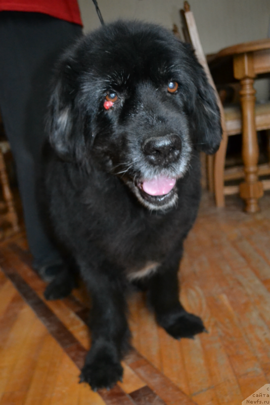 Фотография № 146478