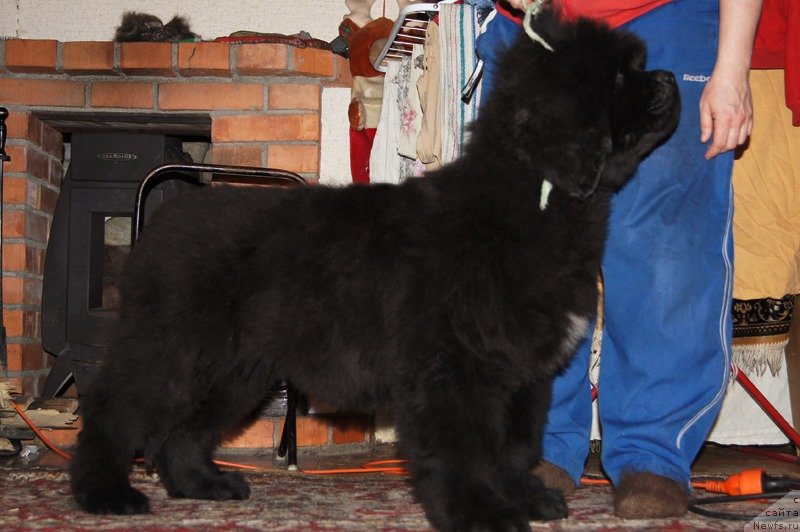 Фотография № 146491