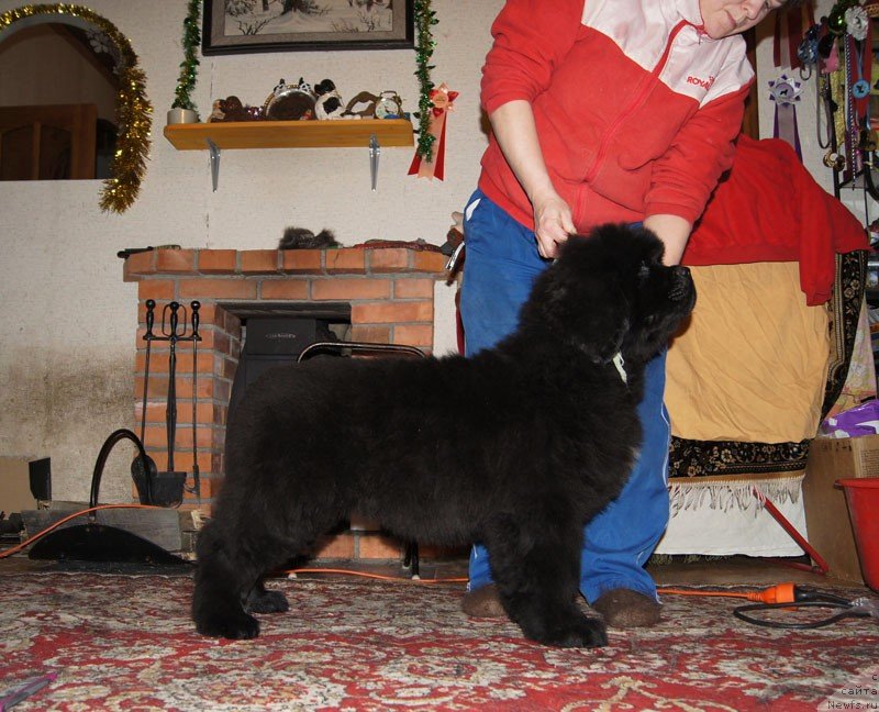 Фотография № 146492