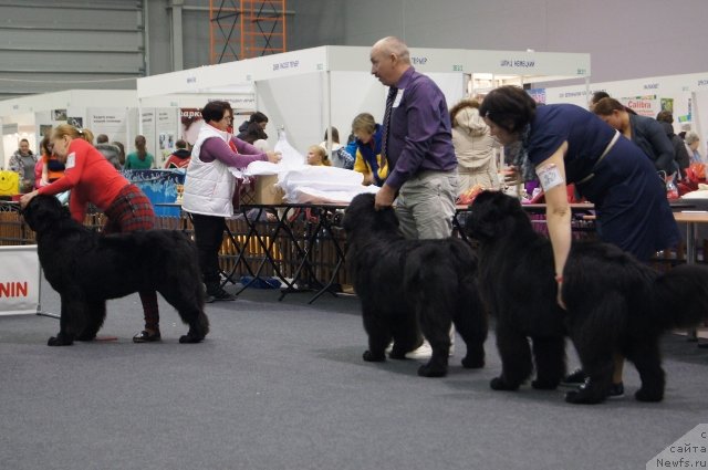 Фотография № 146512