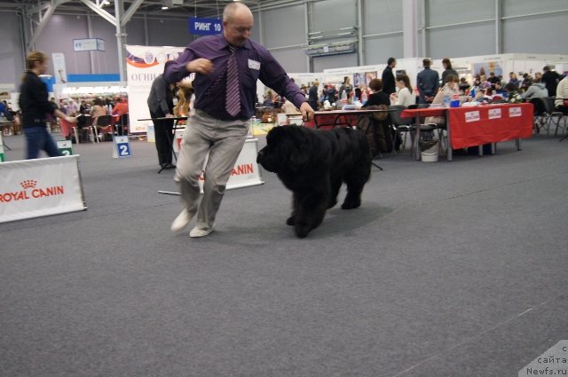 Фотография № 146520