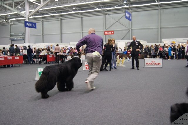 Фотография № 146525