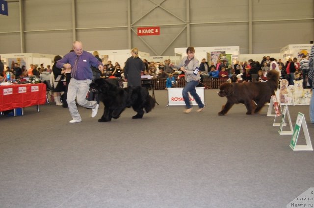 Фотография № 146543