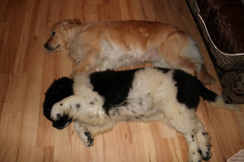 Фотография № 146554