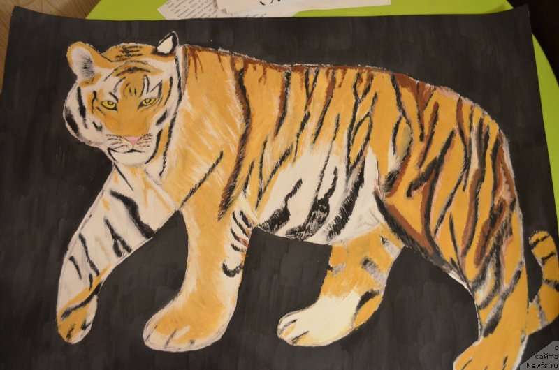 Фотография № 146558