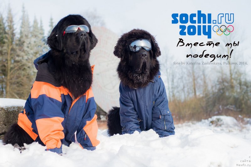 Фотография № 146629