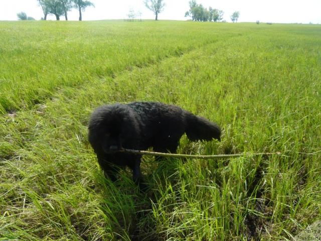 Фотография № 14665