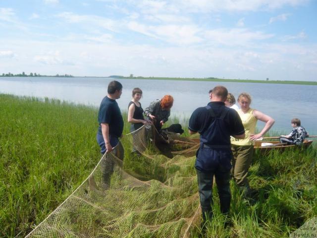 Фотография № 14667