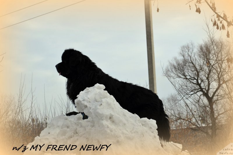 Фотография № 146680