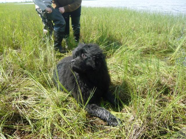 Фотография № 14669