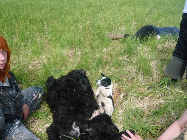 Фотография № 14670