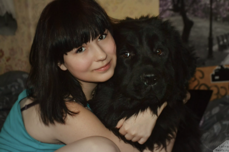 Фото: Janna SHmelyova (Жанна Шмелёва), ньюфаундленд Lepestok Lilii (Лепесток Лилии)