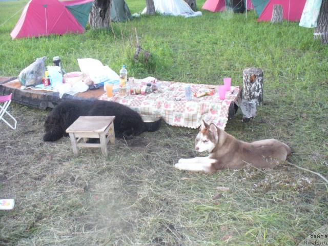 Фотография № 14672