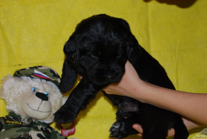 Фотография № 146721