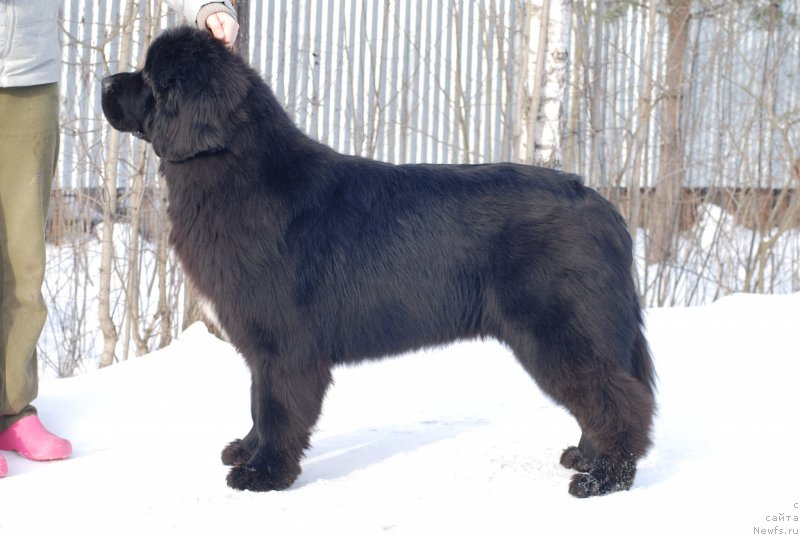 Фотография № 146756