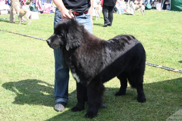 Фотография № 14676