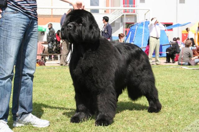 Фотография № 14679