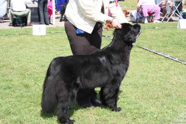 Фотография № 14681