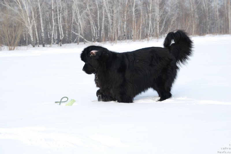 Фотография № 146811