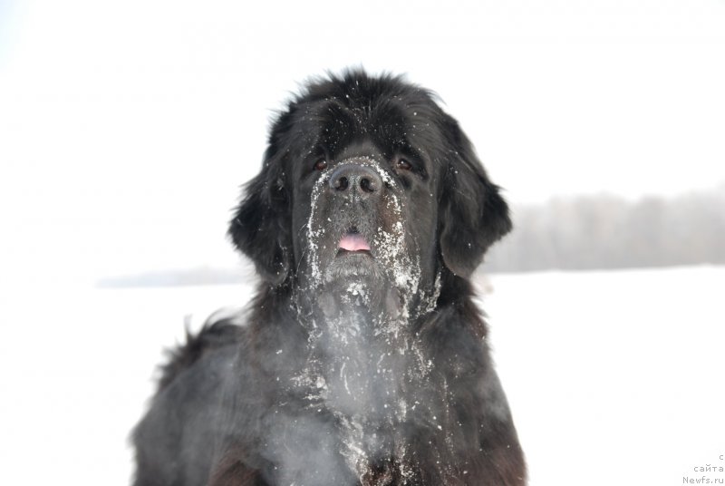 Фотография № 146812