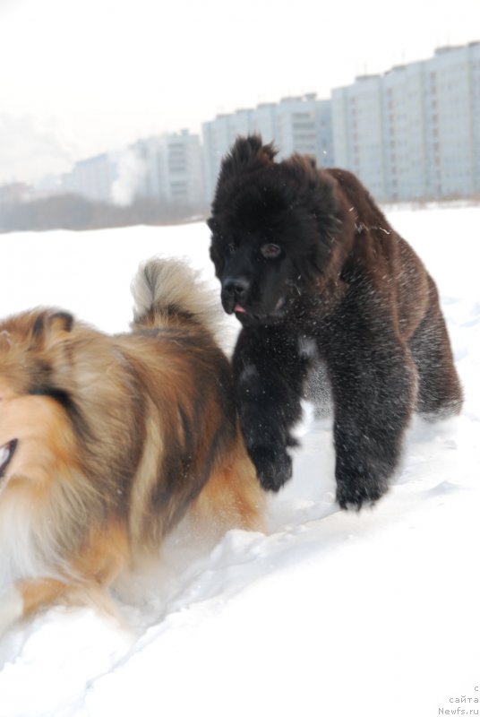 Фотография № 146814