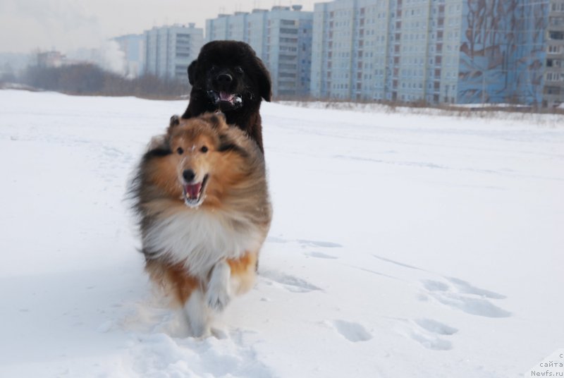 Фотография № 146815