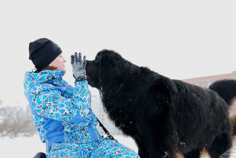 Фотография № 146816