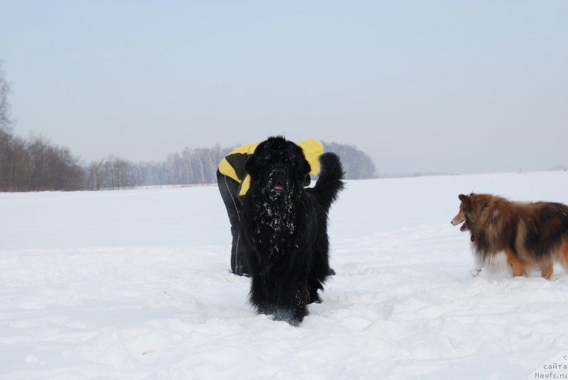 Фотография № 146817