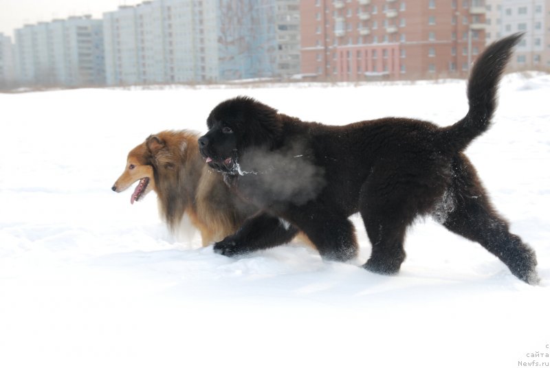 Фотография № 146820