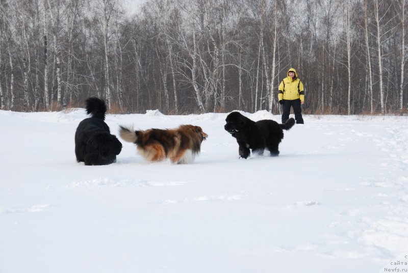 Фотография № 146823