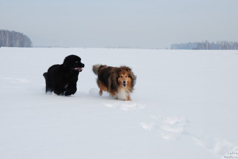 Фотография № 146826