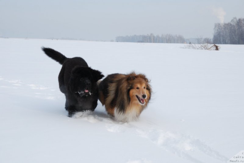 Фотография № 146827