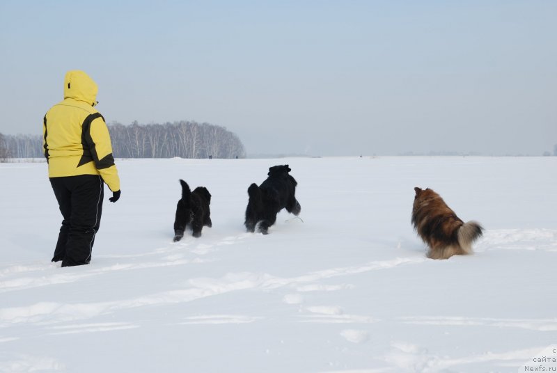 Фотография № 146828