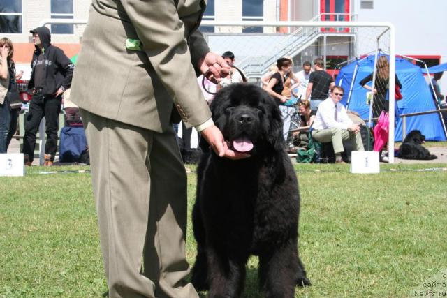 Фотография № 14683