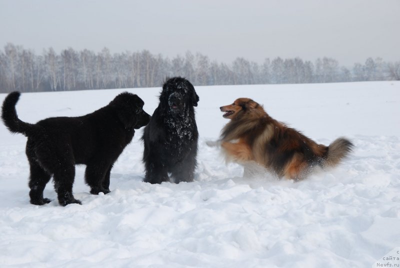 Фотография № 146830