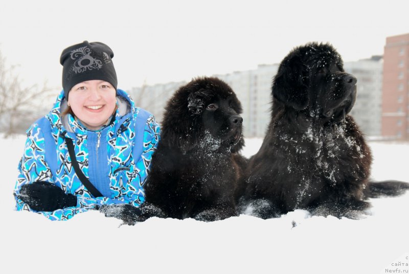 Фотография № 146831