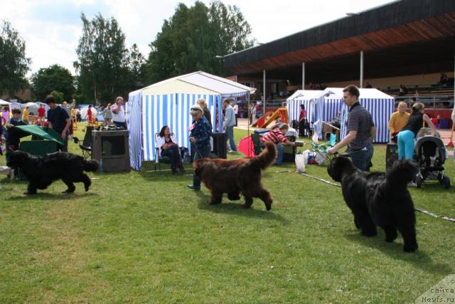 Фотография № 14686