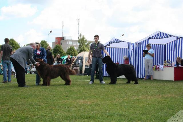 Фотография № 14687