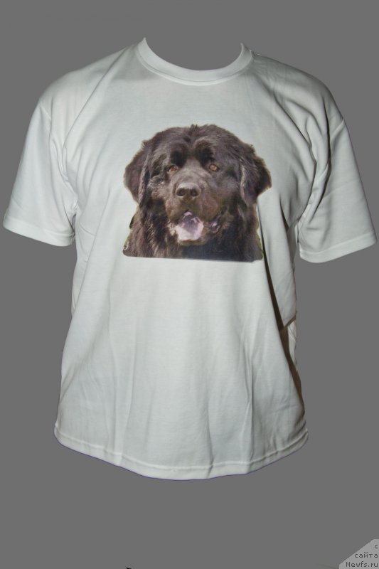 Фотография № 146872