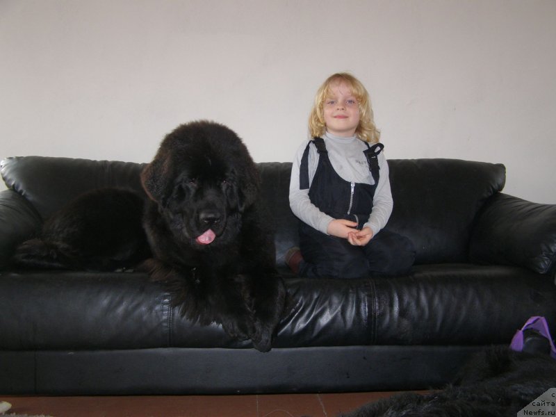 Фотография № 146880