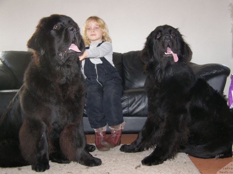 Фотография № 146882