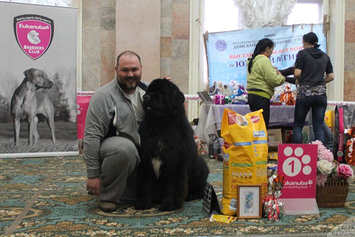 Фотография № 147039