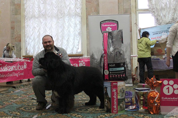 Фотография № 147040