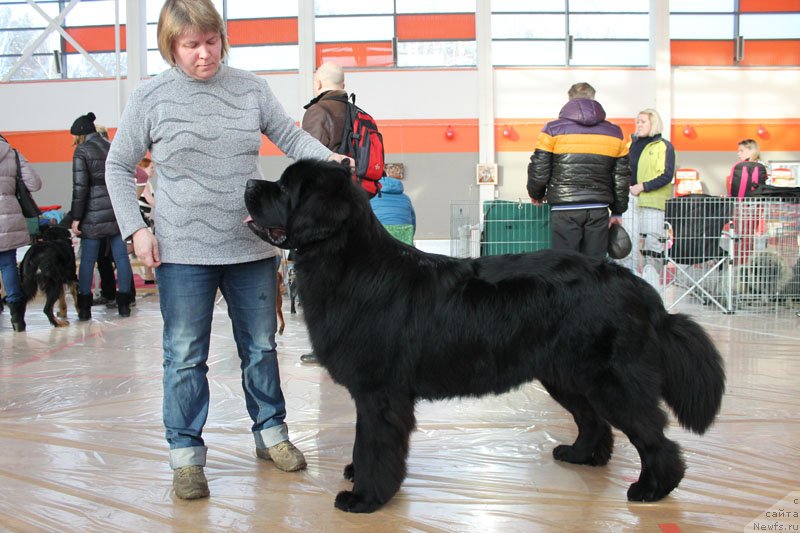 Фотография № 147087