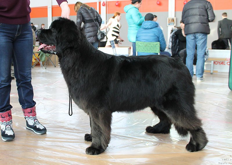 Фотография № 147092