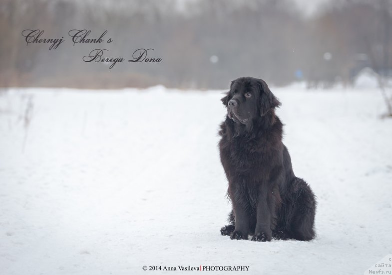 Фотография № 147155