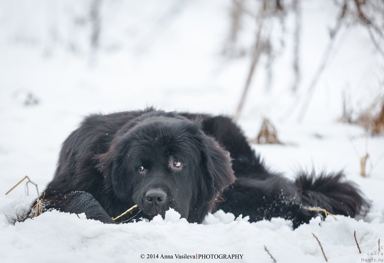 Фотография № 147163